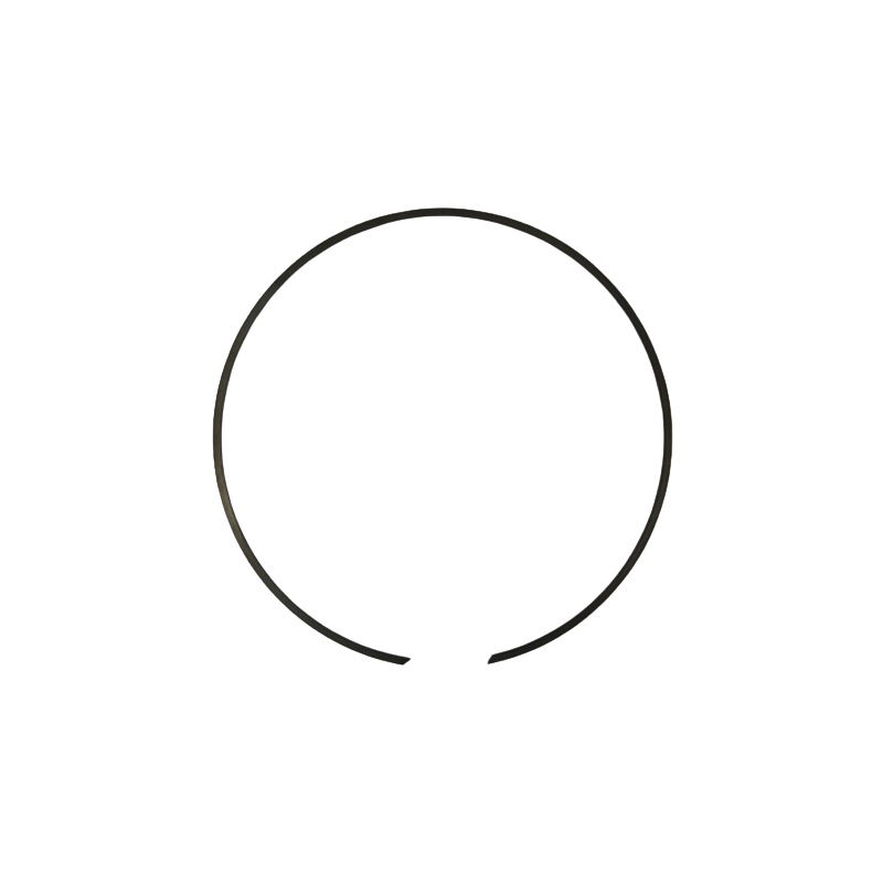 PIERŚCIEN OSADCZY POKRYWY SPRZĘGŁA DQ381