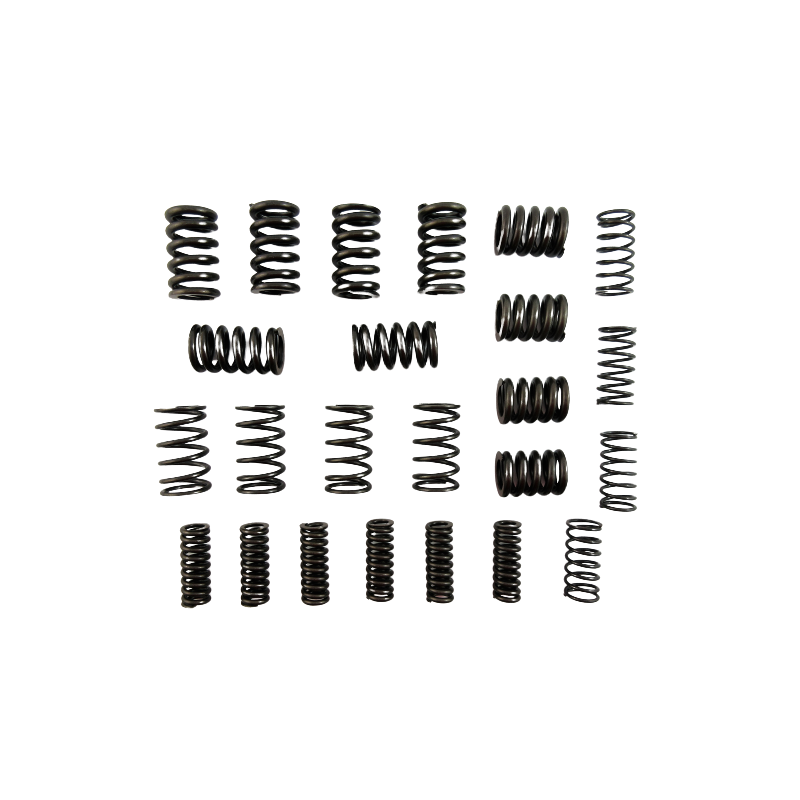 SPRĘŻYNA TŁUMIKA ZESTAW 6DCT450 MPS6 POWERSHIFT