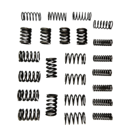 SPRĘŻYNA TŁUMIKA ZESTAW 6DCT450 MPS6 POWERSHIFT