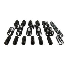 SPRĘŻYNA TŁUMIKA ZESTAW 6DCT450 MPS6 POWERSHIFT