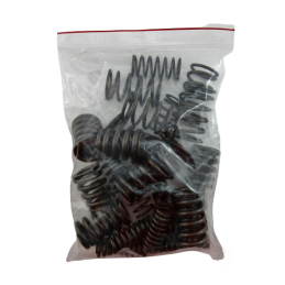 SPRĘŻYNA TŁUMIKA ZESTAW 6DCT450 MPS6 POWERSHIFT