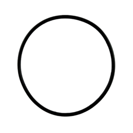 O-RING KONWERTERA 65.35mm x 2.62mm 45RFE 545RFE 66RFE