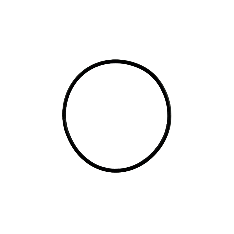 O-RING KONWERTERA 65.35mm x 2.62mm 45RFE 545RFE 66RFE