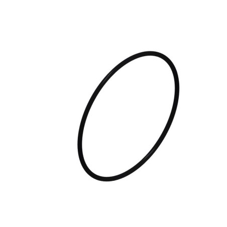 O-RING KONWERTERA MITSUBISHI 75.87mm x 2.62mm 175 175-5 I 177(CT-12) 175-5 I 177(CT-12-1) 176 F4A22 F4A23