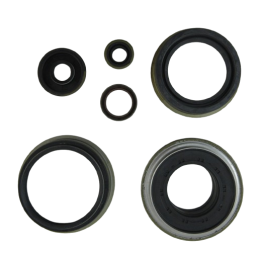 ZESTAW USZCZELNIEŃ BEZ TŁOKÓW OHK 8F35 FORD