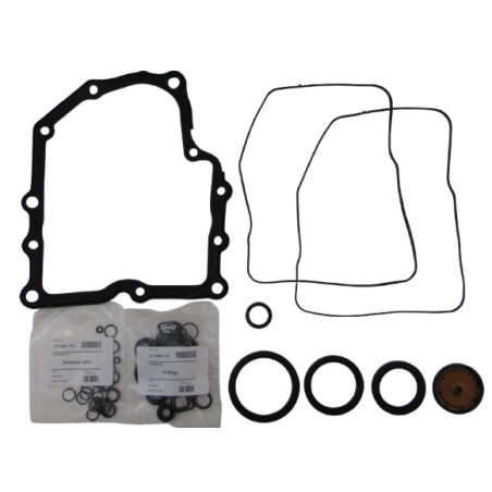 OHK ZESTAW USZCZELNIEŃ BEZ TŁOKÓW DQ200 0AM 09+