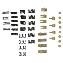 ZESTAW NAPRAWCZY TŁUMIKA DRGAŃ 6DCT450 MPS6 POWERSHIFT